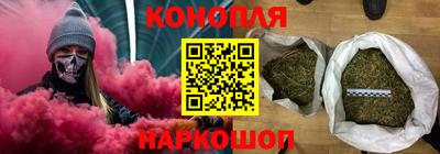 стаф Можга