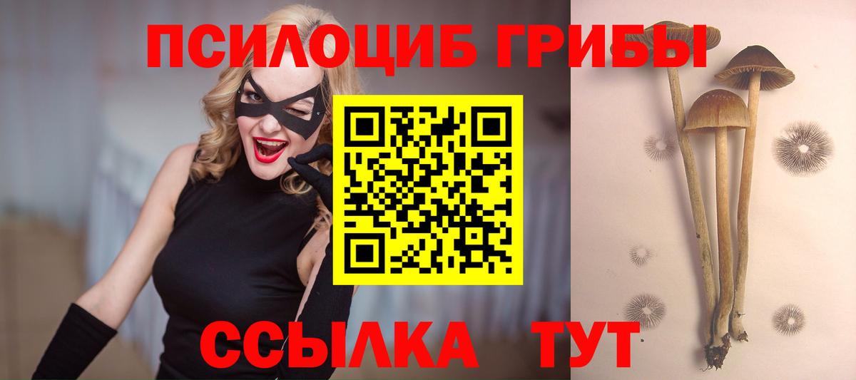 Галлюциногенные грибы Psilocybine cubensis Богородицк